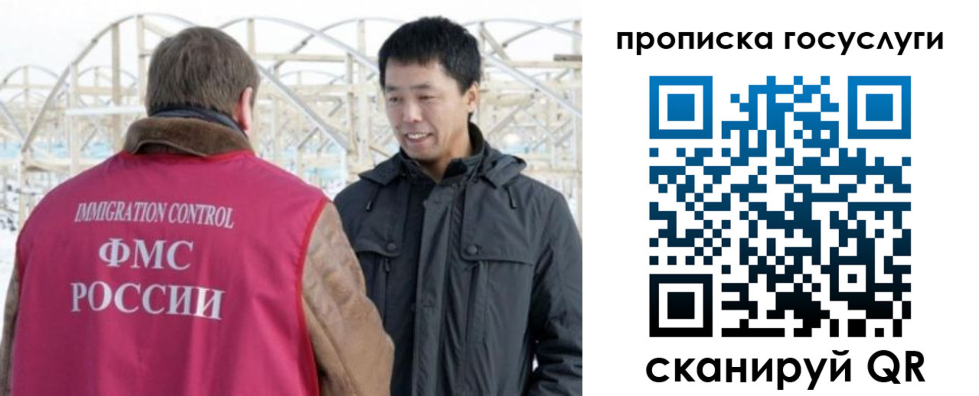 прописка поиск в Светлом